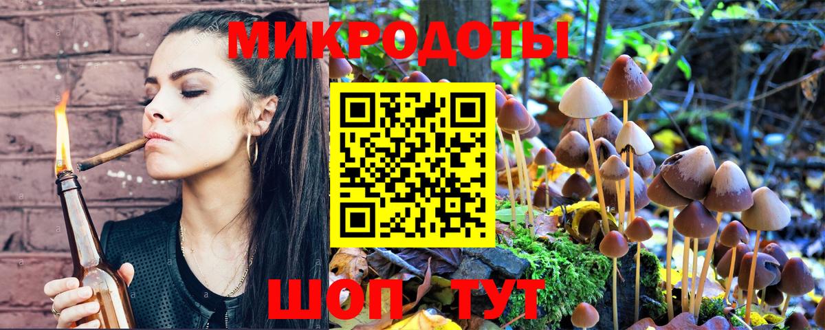 Псилоцибиновые грибы мицелий Кубинка